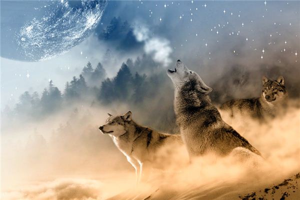 La signification du rêve des loups