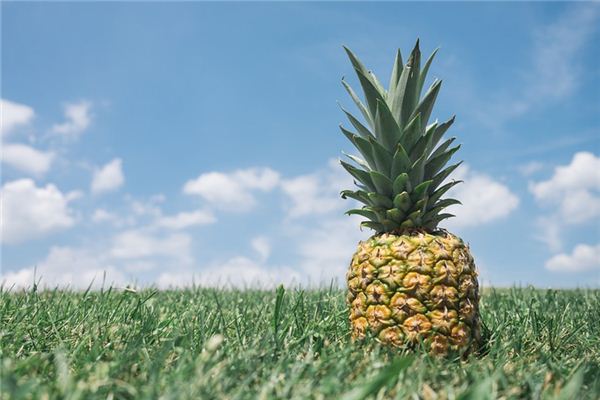Que signifie rêver d’ananas