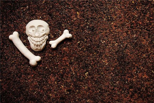 La signification et le symbole des os dans les rêves