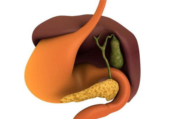 Rêver de la vésicule biliaire – Explication de la vésicule biliaire dans les rêves