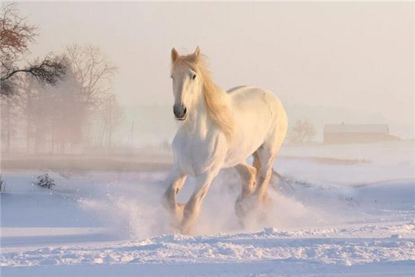 La signification de rêver de chevaux