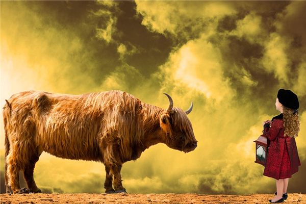 signification du rêve de petit taureau
