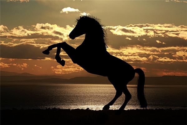 Que signifie rêver de monter sur un grand cheval noir