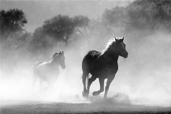 Que signifie rêver d’un cheval