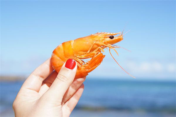 La signification spirituelle de rêver de crevettes