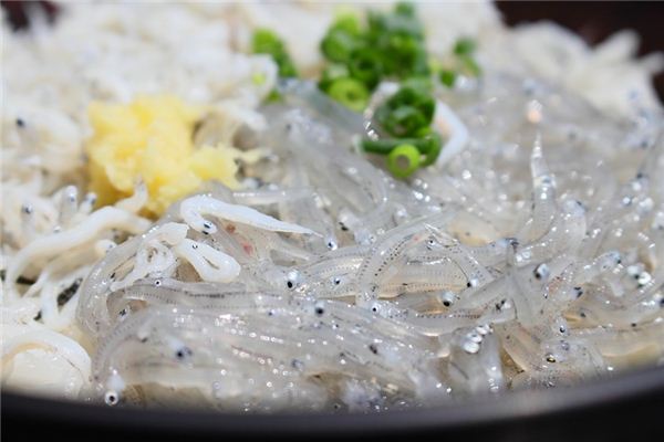 La signification spirituelle de rêver de poisson d’argent