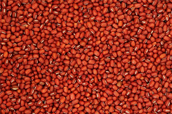 Que signifie rêver de haricots rouges