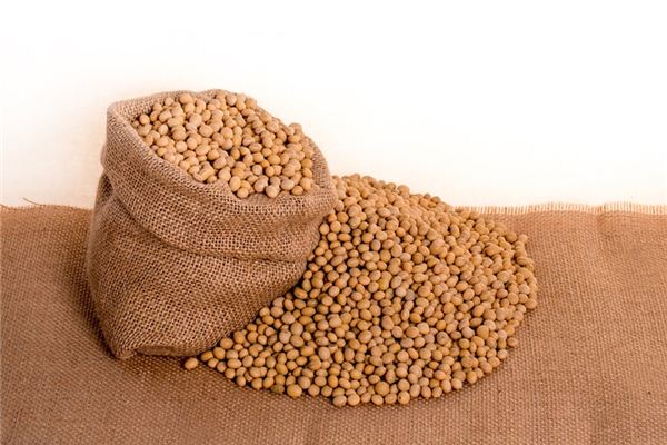 Que signifie rêver de haricots