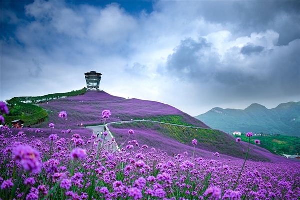 Que signifie rêver de sentir des fleurs