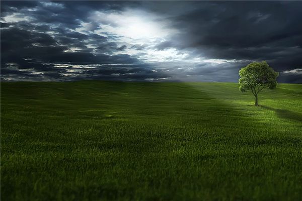 Que signifie rêver d’herbe