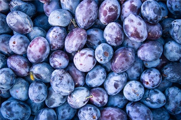 Que signifie rêver de prunes