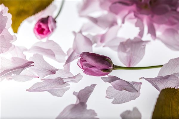 Que signifie rêver de fleurs qui tombent