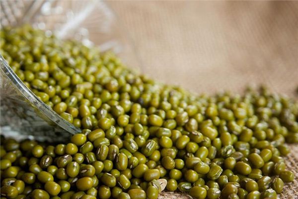 Que signifie rêver de planter des haricots mungés
