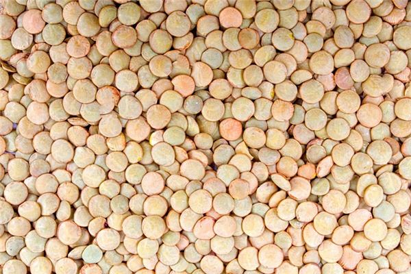 Que signifie rêver de petites lentilles