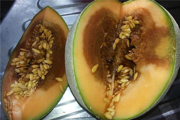 Que signifie rêver de melon pourri