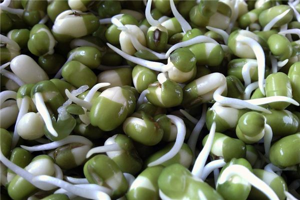Que signifie rêver des germes de haricots