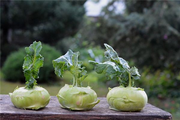 Que signifie rêver de Big Food