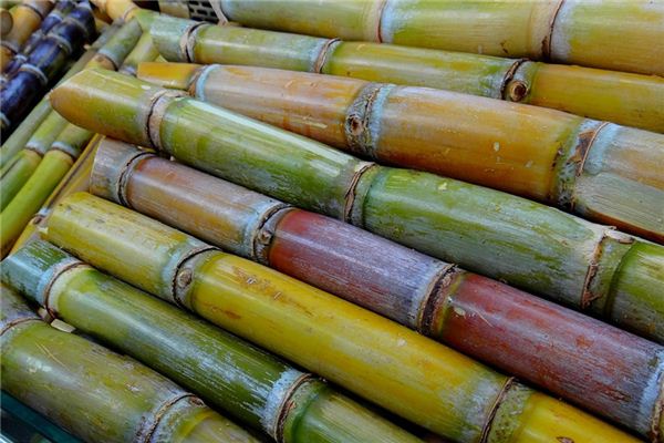Que signifie rêver de canne à sucre