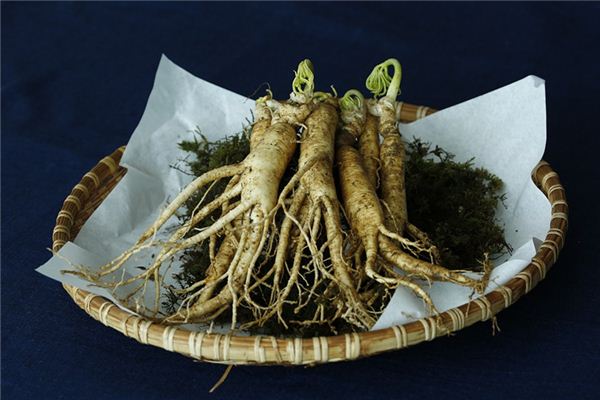 Que signifie rêver de ginseng