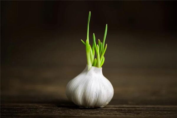 Que signifie rêver de mousse à l’ail