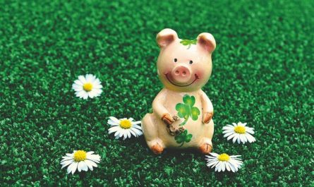 rêver de cochon