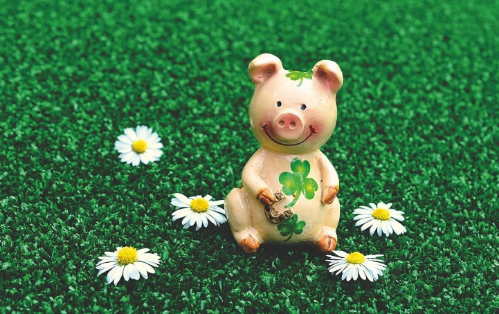rêver de cochon