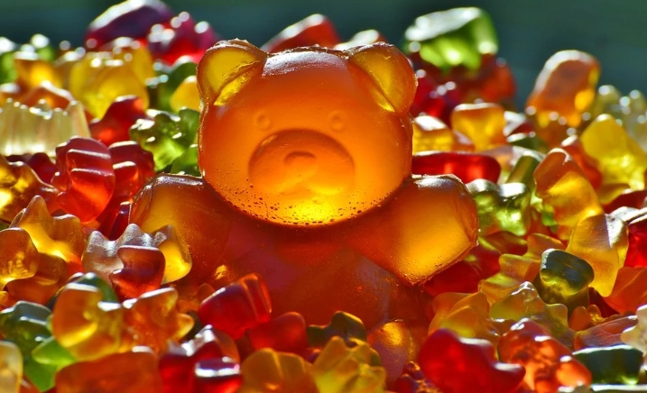 33 Interprétations de Rêve d’être poursuivi par un ours