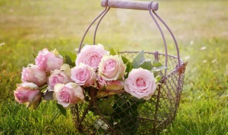 rêve floral