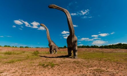 rêves de dinosaures
