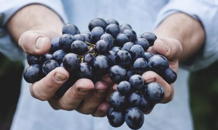 Rêve du Raisin