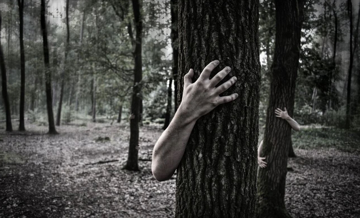 24 signification explicative des zombies rêveurs