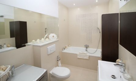 rêver de toilettes