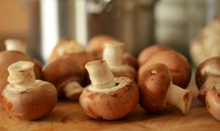 rêve de champignons
