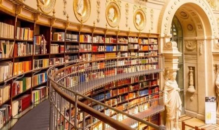 Rêver d’une bibliothèque