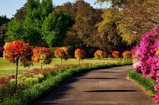 rêver d'un jardin