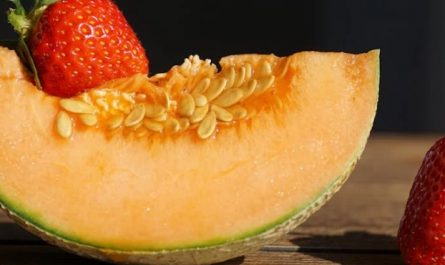 rêve de melons