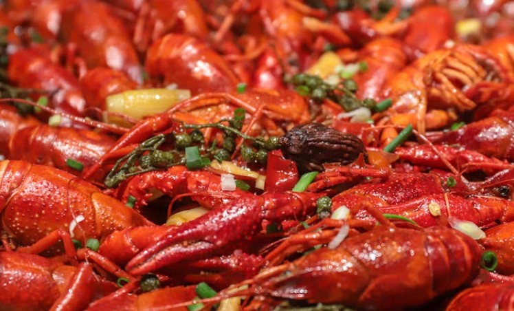 Rêve de crevettes – 45 Interprétations et Symboles