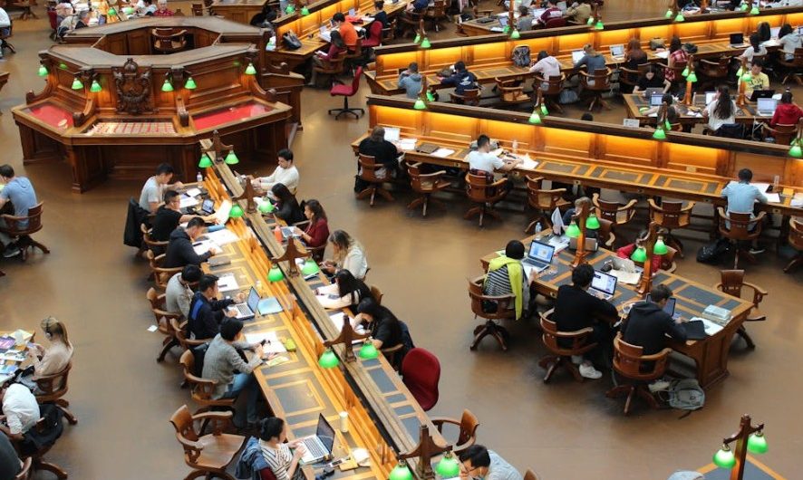 Rêver d’étudier à l’étranger – 16 Interprétations et Symboles