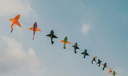 Rêver d’un cerf-volant