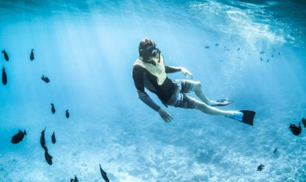 Rêver de plongée sous-marine – 21 Interprétations et Symboles