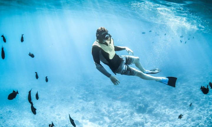 Rêver de plongée sous-marine – 21 Interprétations et Symboles