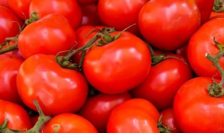 Rêver de tomates – 49 Interprétations et Symboles