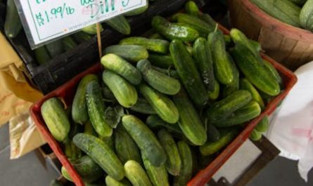 Rêver de concombres : 29 Interprétations et Symboles