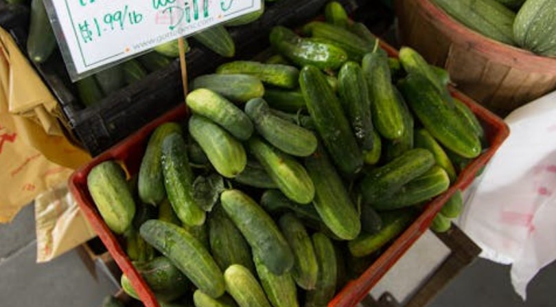 Rêver de concombres : 29 Interprétations et Symboles