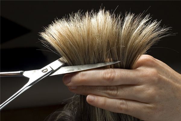 Rêver de se couper les cheveux : 16 Interprétations et Symboles