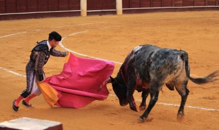 Rêver de taureaux : 21 Interprétations et Symboles