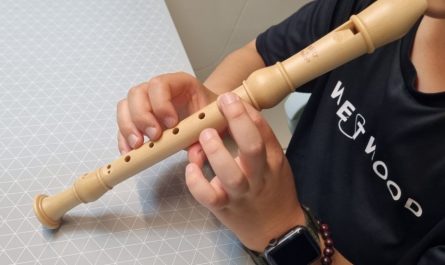 Rêver d’une flûte à bec : 7 Interprétations et Symboles