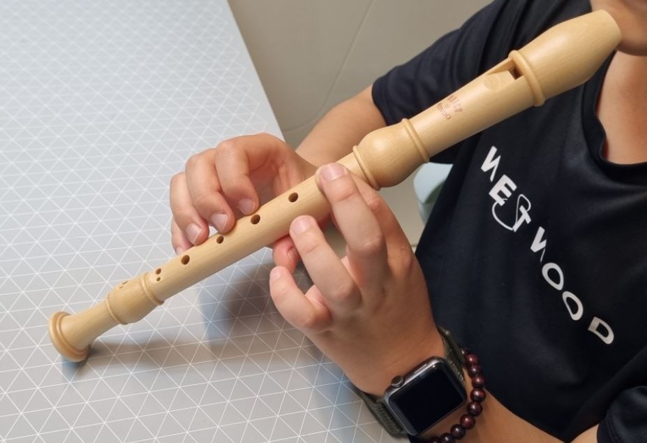 Rêver d’une flûte à bec : 7 Interprétations et Symboles