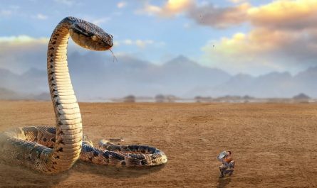 Rêver d’une attaque de serpent : 12 Interprétations et Symboles
