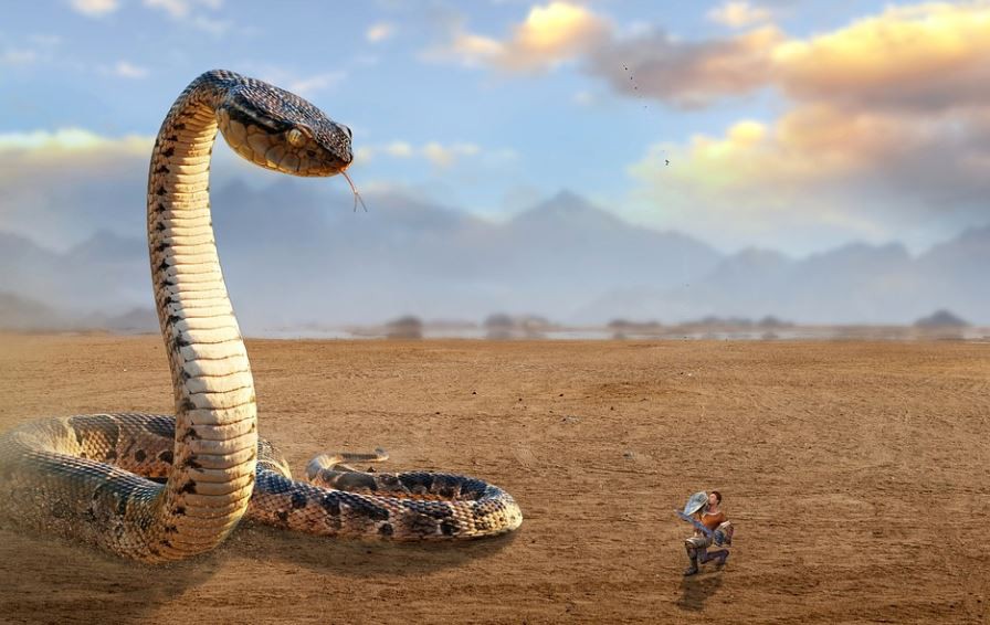 Rêver d’une attaque de serpent : 12 Interprétations et Symboles